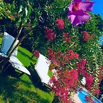 Rossella Villarella Dei Tulipani Bed & Breakfast Asti