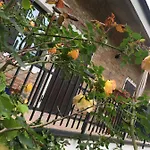 Bed & Breakfast Rossella Villarella Dei Tulipani