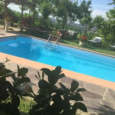 Rossella Villarella Dei Tulipani