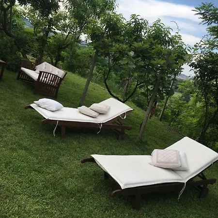 Rossella Villarella Dei Tulipani