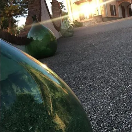 Rossella Villarella Dei Tulipani Asti