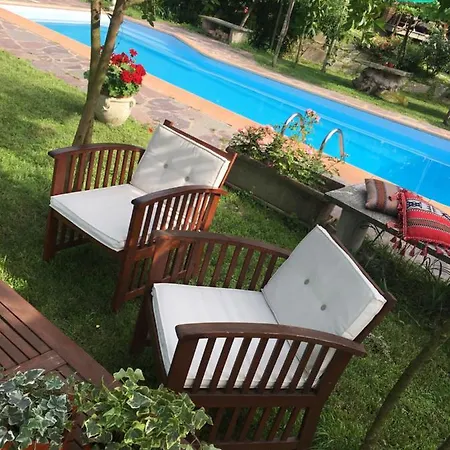 Rossella Villarella Dei Tulipani *