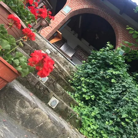 La Villarella Dei Tulipani