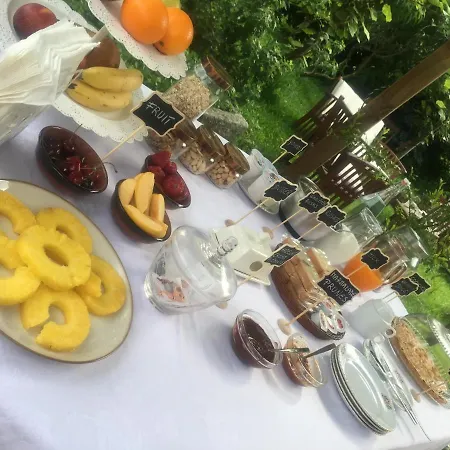 Rossella Villarella Dei Tulipani Asti