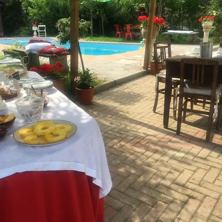 Rossella Villarella Dei Tulipani