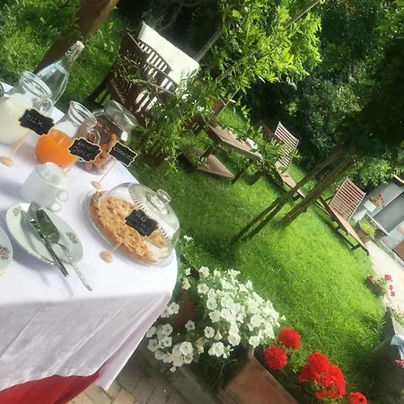 Rossella Villarella Dei Tulipani Asti