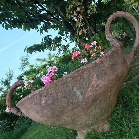 La Villarella Dei Tulipani *