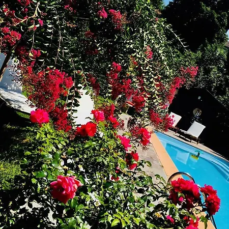 Rossella Villarella Dei Tulipani Bed & Breakfast