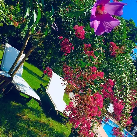 Rossella Villarella Dei Tulipani Bed & Breakfast Asti