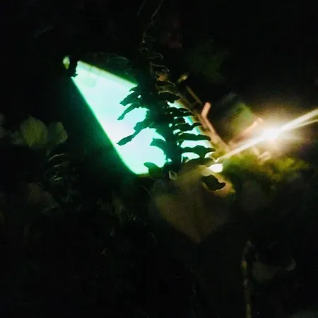 ベッド・アンド・ブレックファスト Rossella Villarella Dei Tulipani