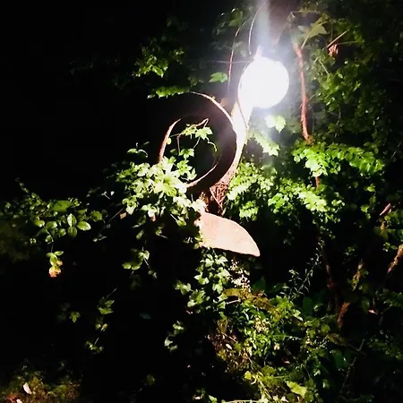 Rossella Villarella Dei Tulipani Asti