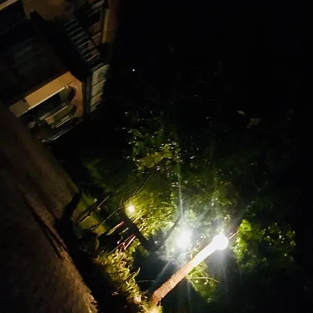 Rossella Villarella Dei Tulipani アスティ