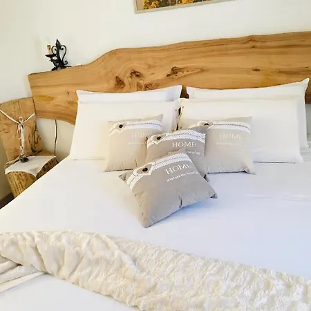 Rossella Villarella Dei Tulipani Asti