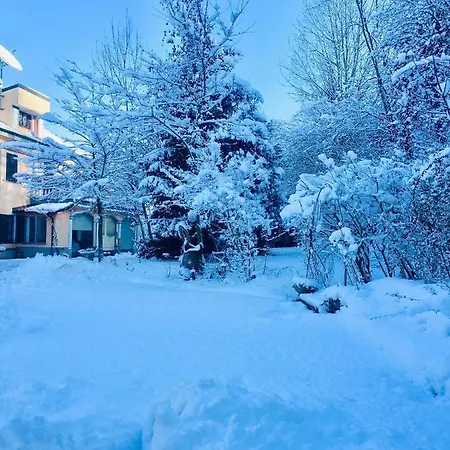 Rossella Villarella Dei Tulipani アスティ