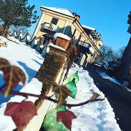 Rossella Villarella Dei Tulipani * Asti