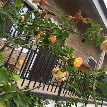 Bed & Breakfast Rossella Villarella Dei Tulipani