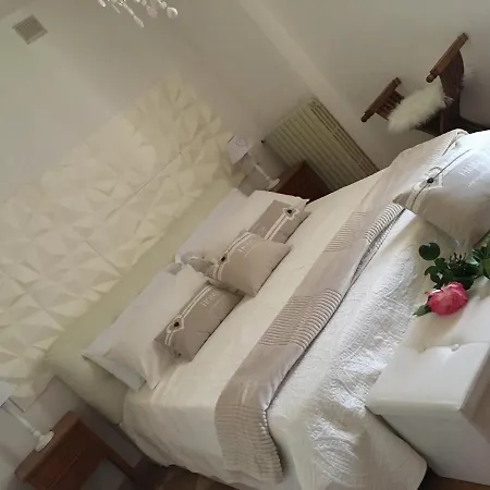 Rossella Villarella Dei Tulipani * Asti