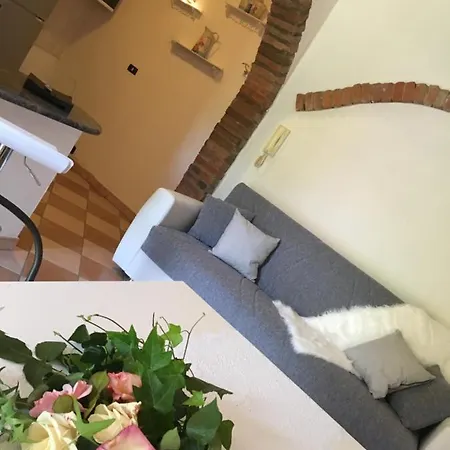 Rossella Villarella Dei Tulipani Asti