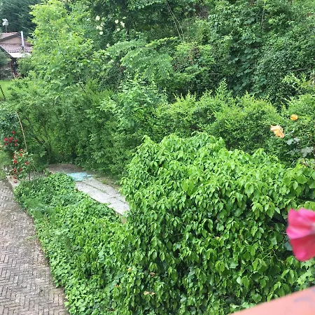 Panzió Rossella Villarella Dei Tulipani Asti