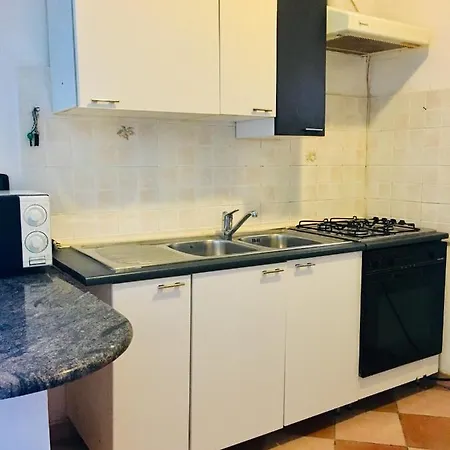 Rossella Villarella Dei Tulipani