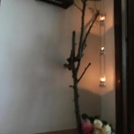 Rossella Villarella Dei Tulipani * Asti