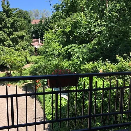 Rossella Villarella Dei Tulipani アスティ