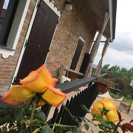 Rossella Villarella Dei Tulipani Bed and breakfast Asti