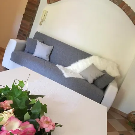 Rossella Villarella Dei Tulipani Asti