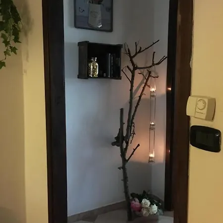 Rossella Villarella Dei Tulipani Bed and breakfast