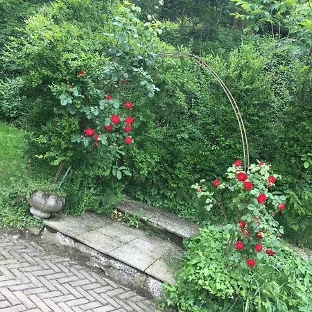 La Villarella Dei Tulipani *