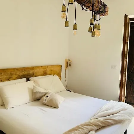 Rossella Villarella Dei Tulipani *