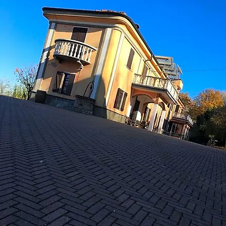 Rossella Villarella Dei Tulipani