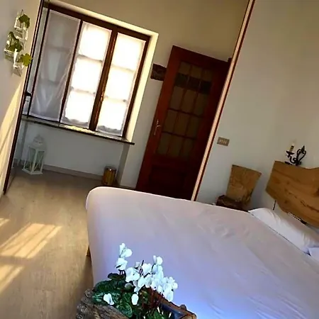 Rossella Villarella Dei Tulipani *