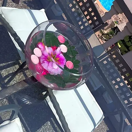 Rossella Villarella Dei Tulipani Bed & Breakfast *
