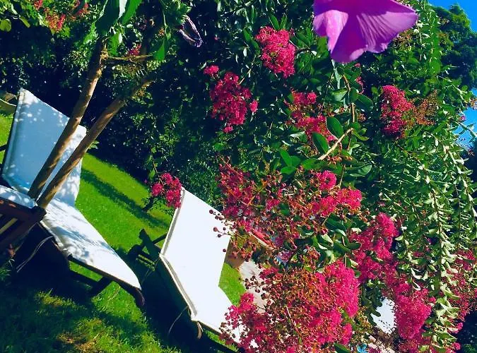 Rossella Villarella Dei Tulipani ベッド・アンド・ブレックファスト アスティ